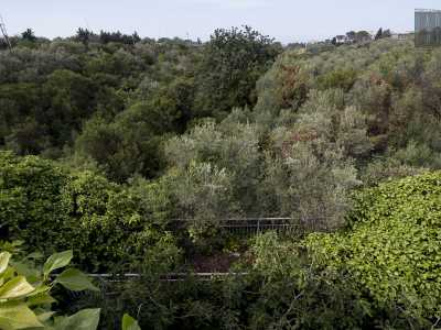 Notiamo delle scalette che scendono lungo uno degli argini e persino una passerella che percorre un tratto del �fiume�, ma entrambi sono irraggiungibili per via degli arbusti che bloccano qualsiasi accesso